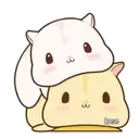 Animalitos🌈🌸.MOV 17