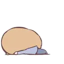 Hito Potato 16