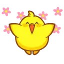pollito chipopi 2