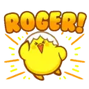pollito chipopi 10