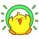 pollito chipopi 24