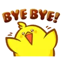 pollito chipopi 16