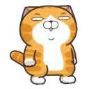 LALA CAT MOV. 16