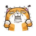 LALA CAT MOV. 7