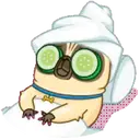 PENNY Pug 16