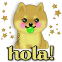 Perro SHIBA INU 25
