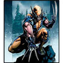 Wolverine 4