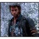 Wolverine 17