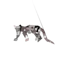 clouded leopard pack 1