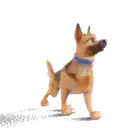 Pastor Alemán🐕‍🦺⭐.MOV 17