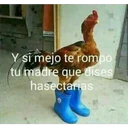 PARA PELEAR 10