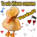 Patos Recargados 26