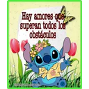 Stitch 24