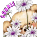 SONRIE