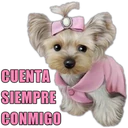 CUENTA
SIEMPRE
CONMIGO