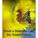 flowers  and butterfly 8