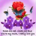 flowers  and butterfly 9
