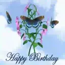 flowers  and butterfly 12