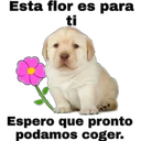Esta flor es para
ti
Espero que pronto
podamos coger.