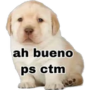 ah bueno
ps ctm