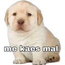 me kaes mal