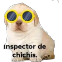 Inspector de
chichis.
D