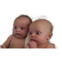 Expresiones de bebes 12