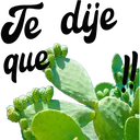 Te dije que *