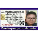 The World of Stikers 14 19