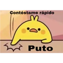 Contéstame rápido
Puto