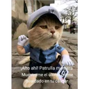 D ¡Alto ahí! Patrulla memera Muéstrame el ultimo neme guardado en tu celular
