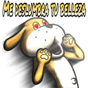 Dilo con animales 11