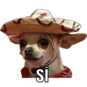 Perros 9