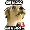 Perros 16