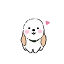 DOG CUTE 7