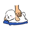 DOG CUTE 14