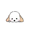 DOG CUTE 15