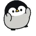Pingüino Cute 🐧 mov 16