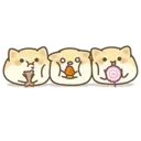 CACHORROS mov. 26