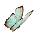 Mariposas 1 Movi 1