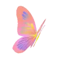 Mariposas 1 Movi 22