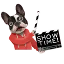 ● Animales Curiosos 2 Mov. ● 15