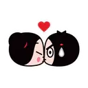 ️PUCCA 10