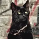 ️Salem Saberhagen(Crush Saga)️ 7