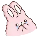 🐇Suppy pink🐇 Mov 13