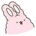 🐇Suppy pink🐇 Mov 17