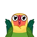 🦜LOVEBIRDS🦜 20