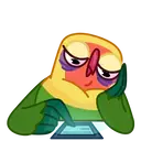 🦜LOVEBIRDS🦜 5