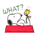 Snoopy 3 MOV 15