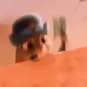 Zootopia     (Mov) 24